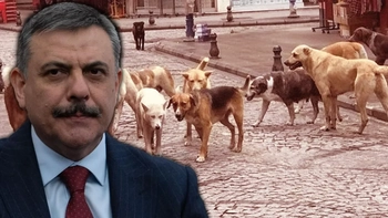 Bakan Çiftçi: 