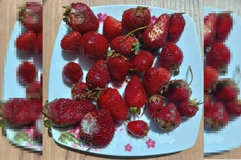 İnegöl