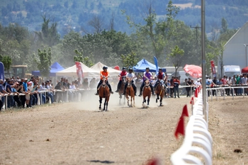 Bursa