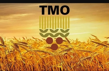 İnegöllü Hububat Üreticilerine Müjde! TMO Alımları 2 Temmuz