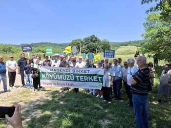 Süpürtü
