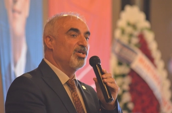 Zemci Şahin