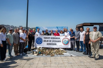 Büyükşehir