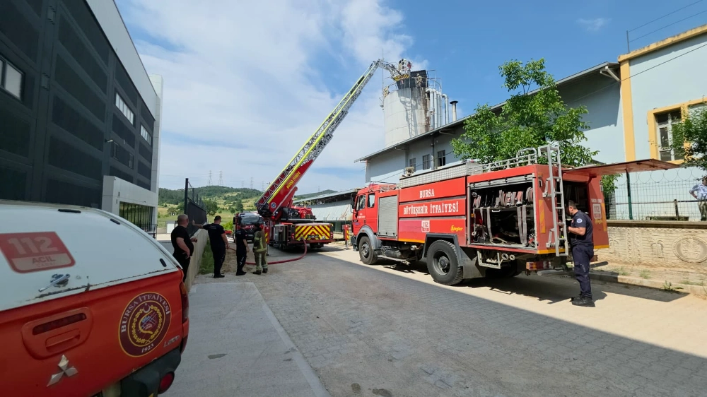 Kereste Fabrikasında Korkutan Yangın! İnegöl Ve Ke